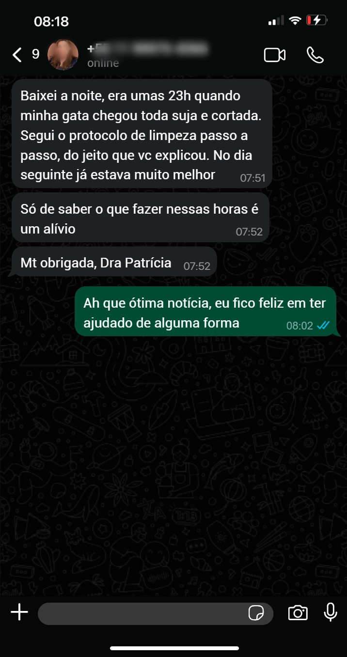 Depoimento da Letícia B.