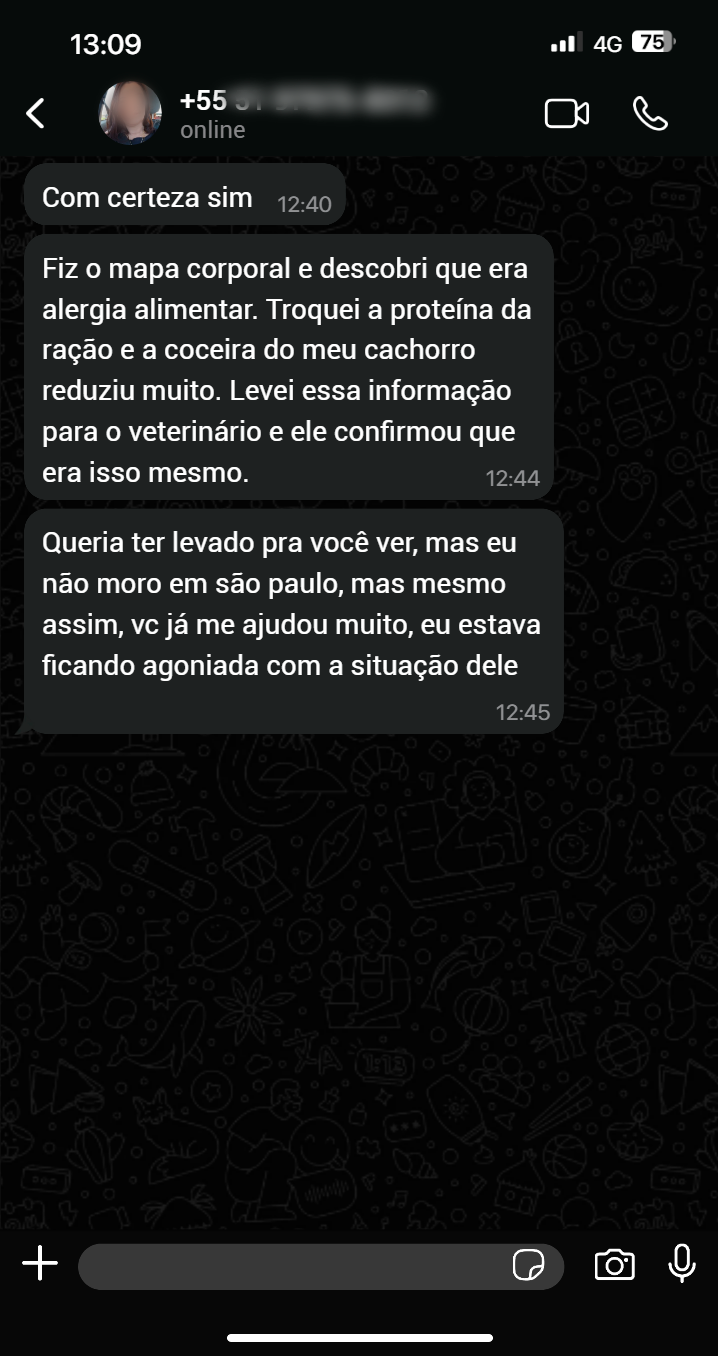 Depoimento da Rafaela F.